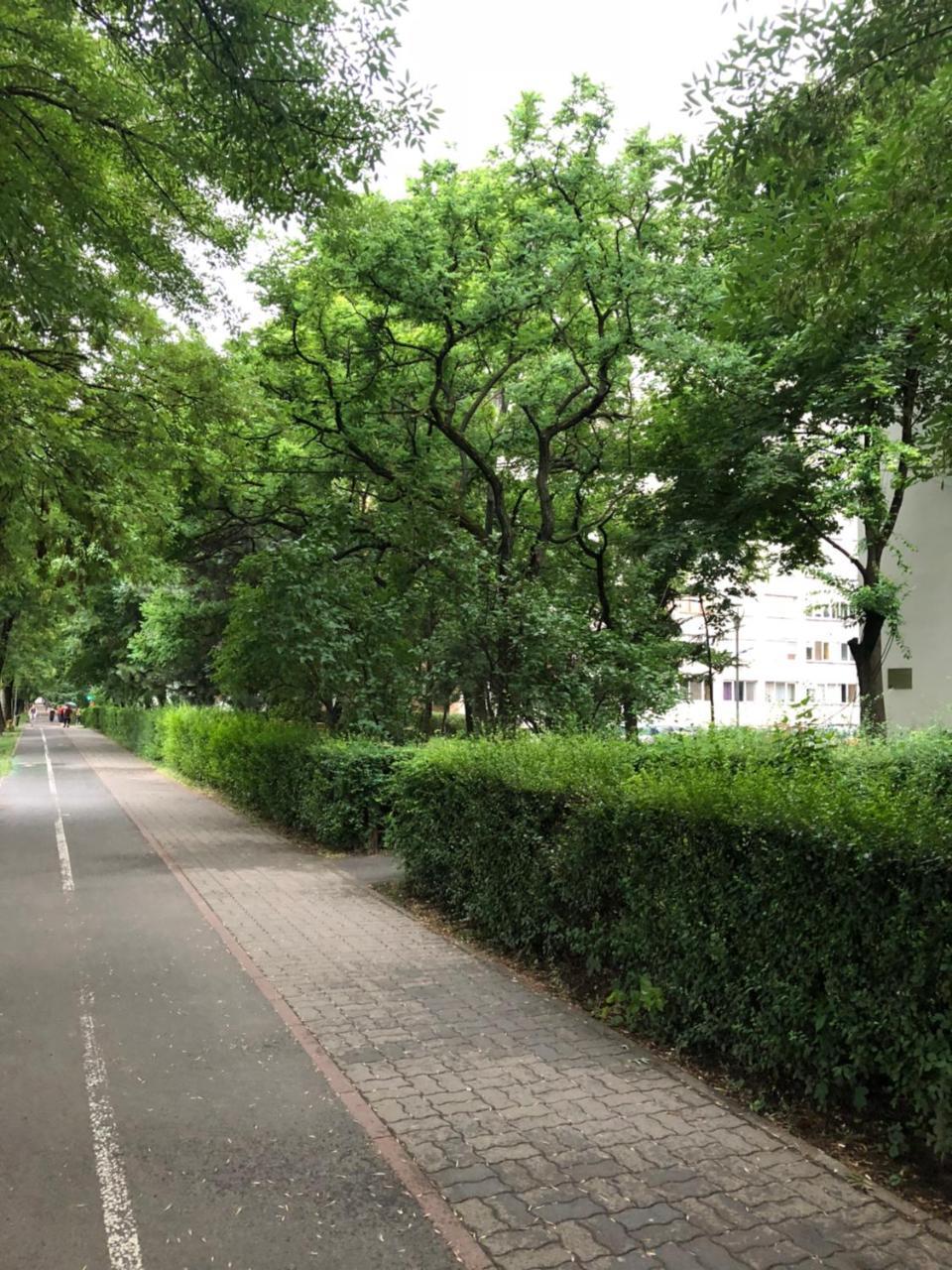 Smp Apartment 3 Timișoara Zewnętrze zdjęcie